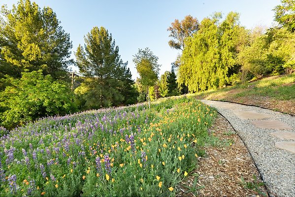 WFL - 01734-West San Fernando Valley 19