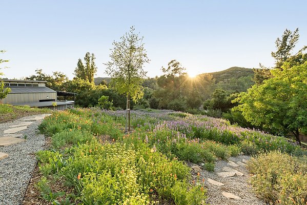 WFL - 01734-West San Fernando Valley 20