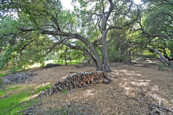 UNI A841-SANTA CLARITA 26