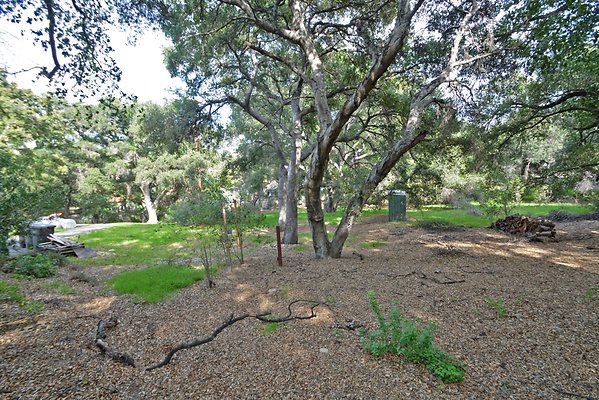 UNI A841-SANTA CLARITA 23