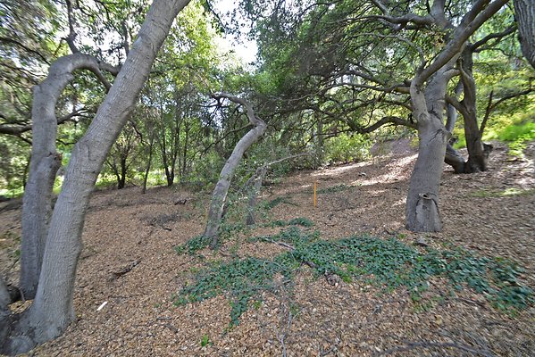 UNI A841-SANTA CLARITA 22