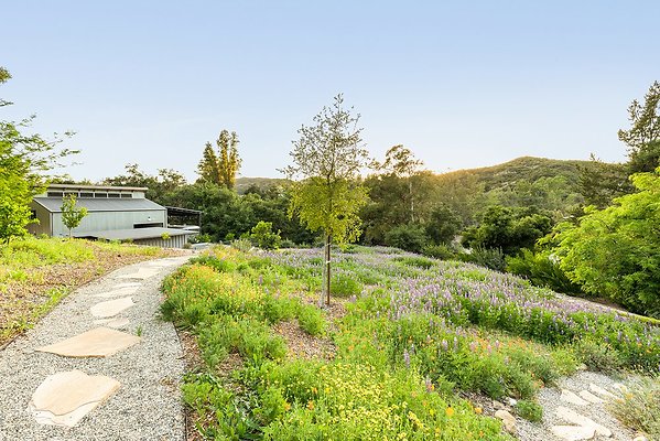 WFL - 01734-West San Fernando Valley 21