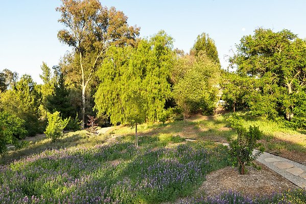 WFL - 01734-West San Fernando Valley 18