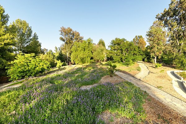 WFL - 01734-West San Fernando Valley 17