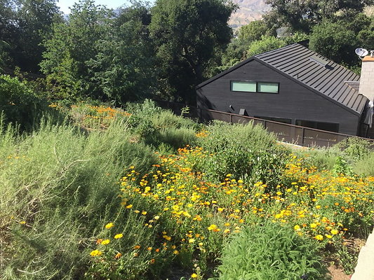 S2S 03018 - Tujunga 26 S2S 03018 - Tujunga 26