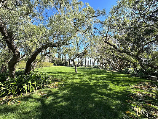 UNI CW455-MALIBU UNI CW455-MALIBU