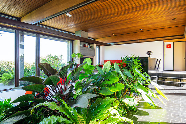 UNI D201 - Baldwin Hills 25 UNI D201 - Baldwin Hills 25