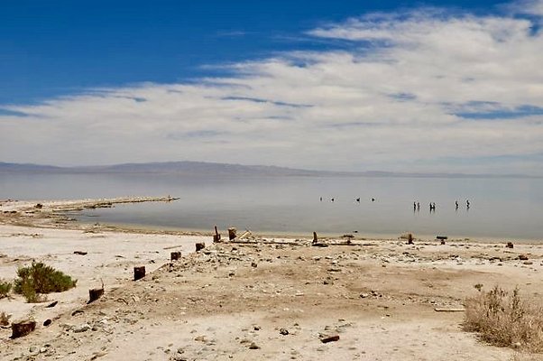Salton Sea Beach